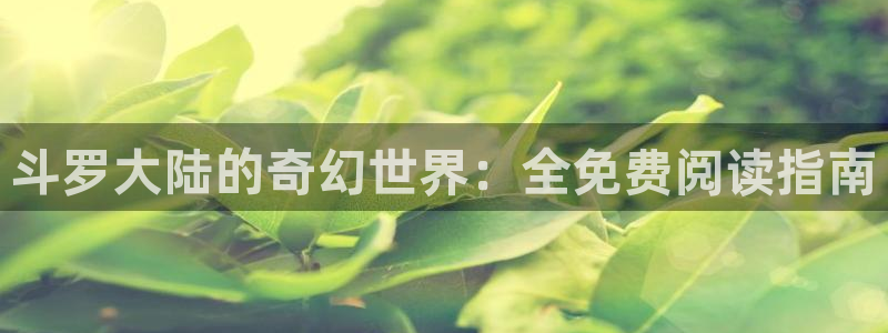 风车漫画官网免费版：斗罗大陆的奇幻世界：全免费阅读指南