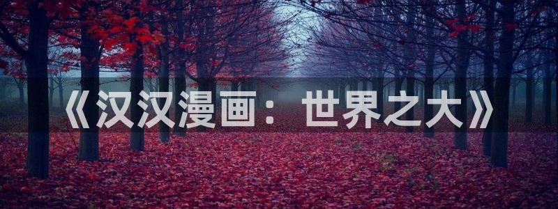 风车漫画免费版：《汉汉漫画：世界之大》